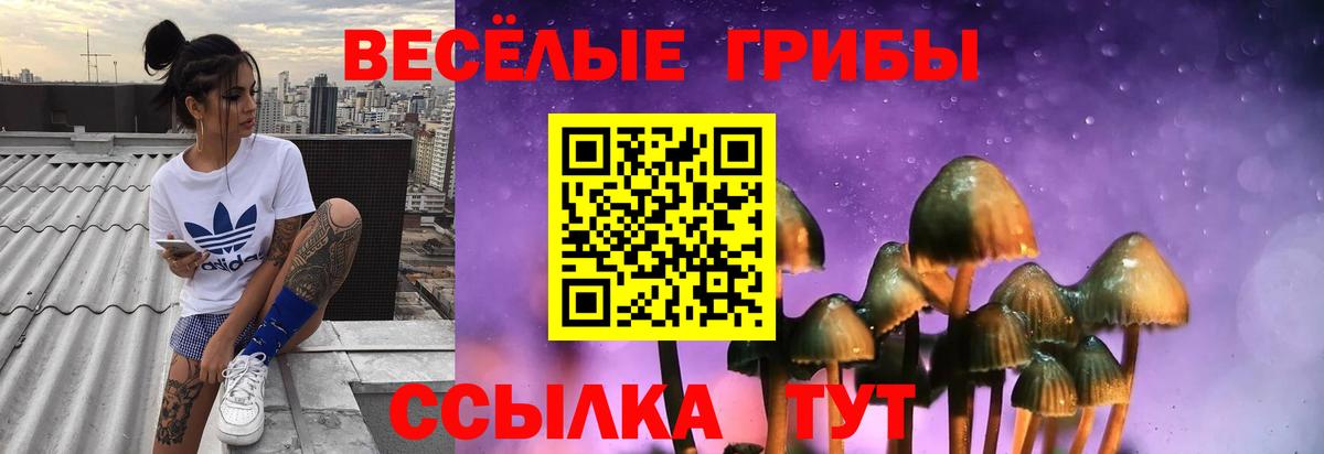 Псилоцибиновые грибы ЛСД Туапсе